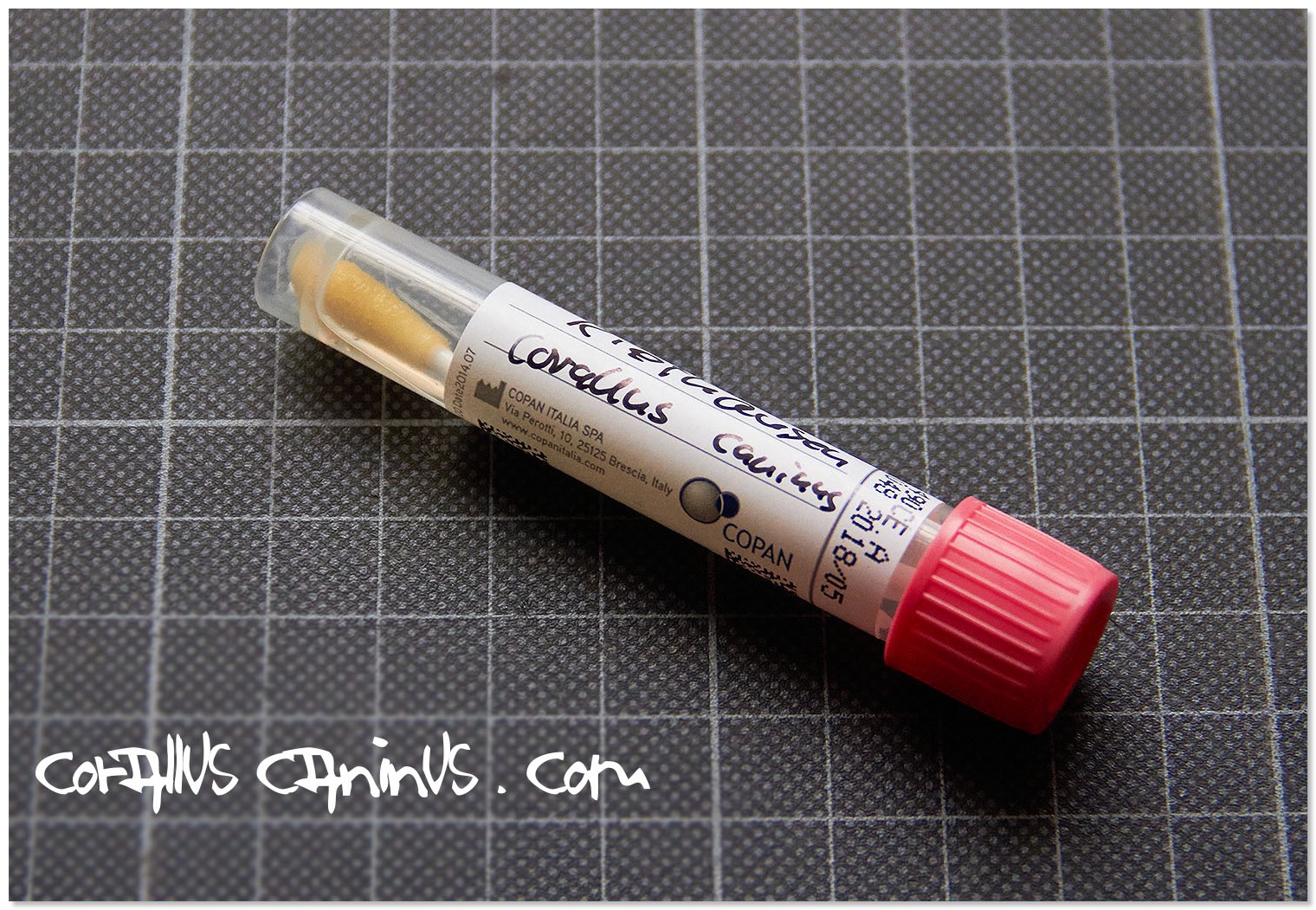 Mikrobiologie_2